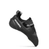 Blackbird (Neu)