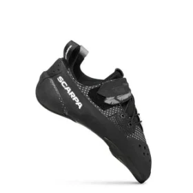 blackbird neu 1 280x280 - Blackbird (Neu)