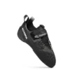 Blackbird (Neu)