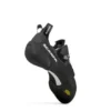 Blackbird (Neu)