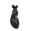 Blackbird (Neu)