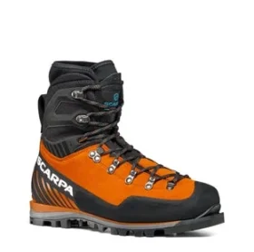Mont Blanc Pro GTX Herren